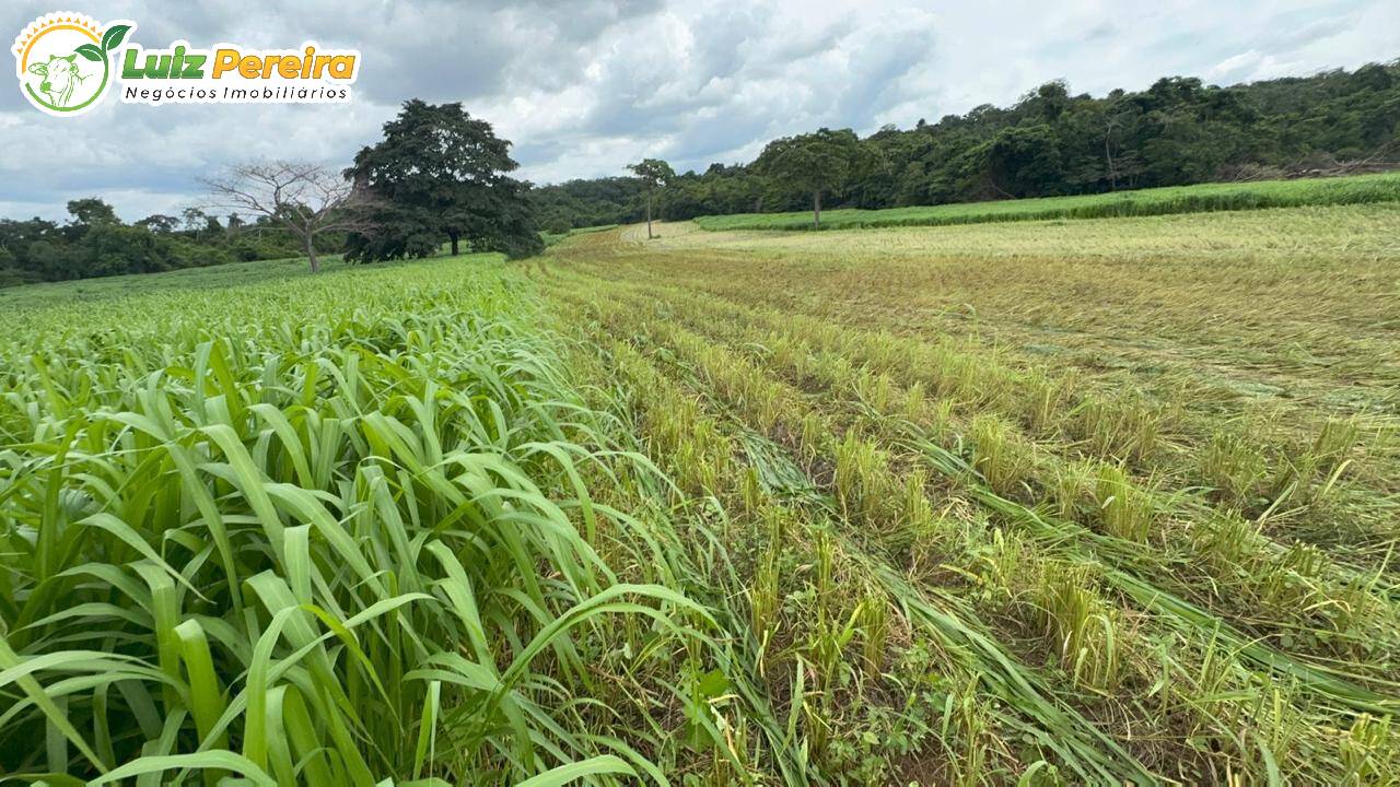 Terreno, 1161 m² - Foto 12