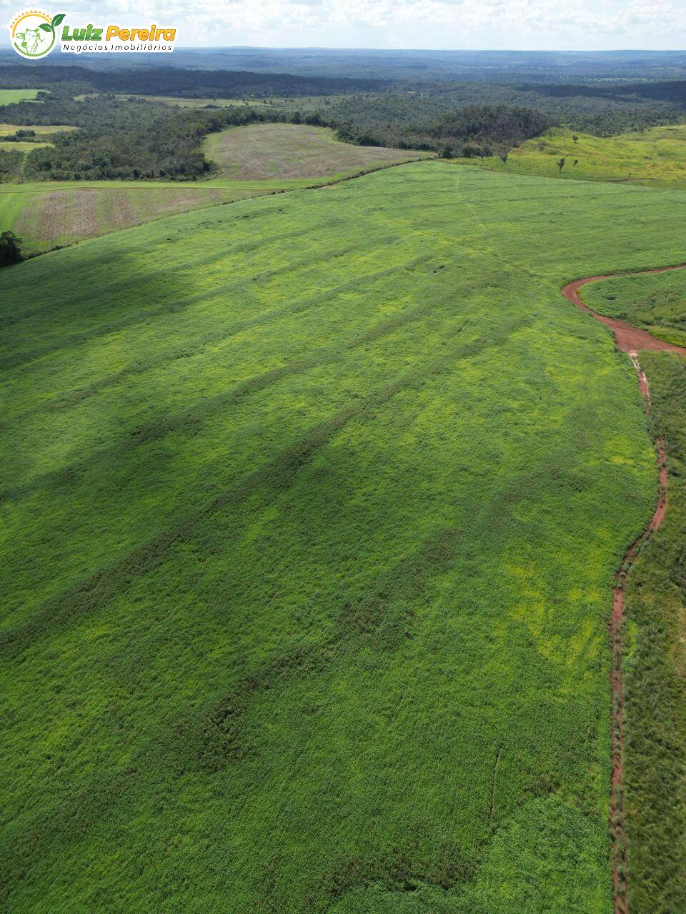 Terreno, 1161 m² - Foto 6