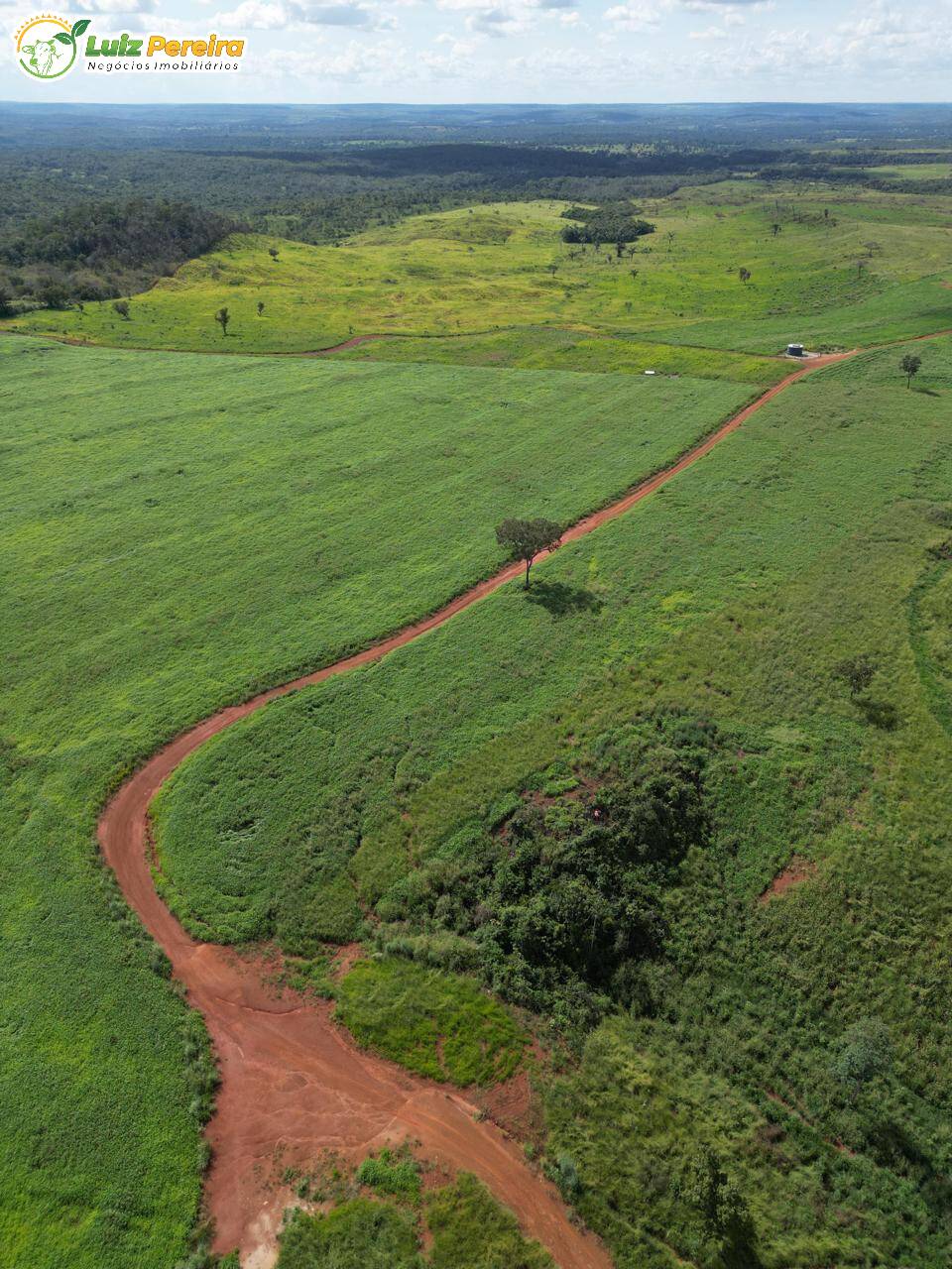 Terreno, 1161 m² - Foto 10