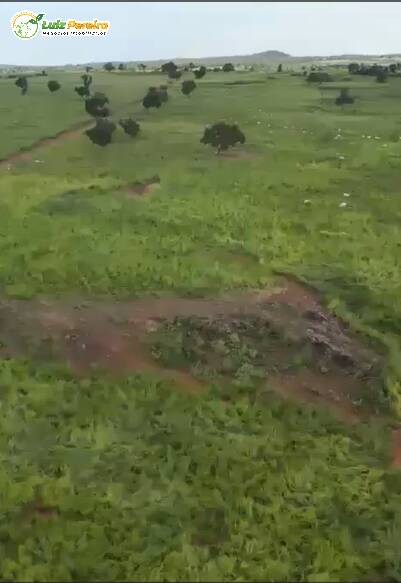 Terreno, 1161 m² - Foto 2