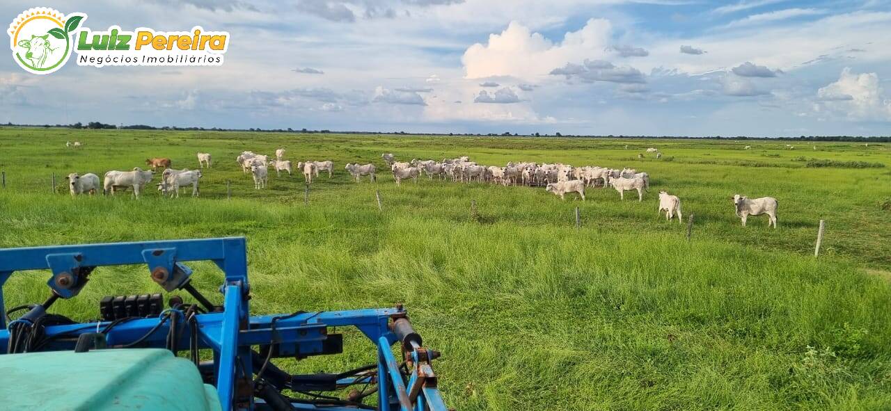 Terreno, 4300 m² - Foto 5