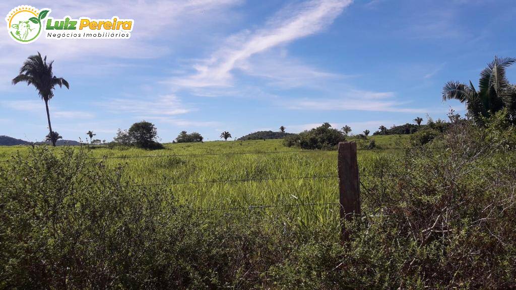 Terreno à venda, 5808m² - Foto 5