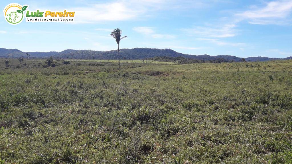 Terreno à venda, 5808m² - Foto 9