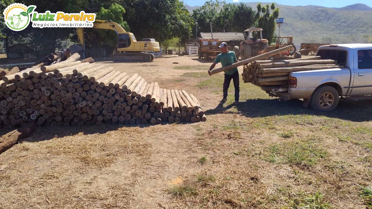 Terreno, 6660 m² - Foto 6