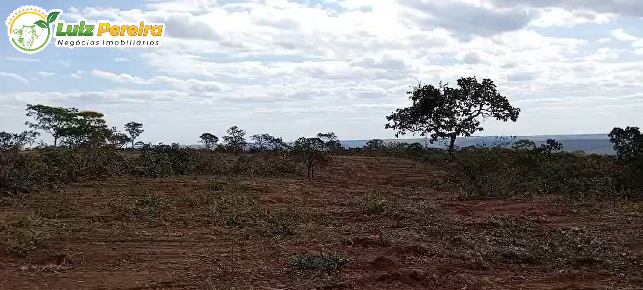 Terreno, 6660 m² - Foto 4