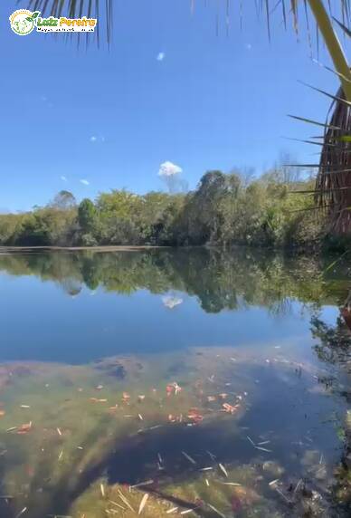 Terreno, 614 m² - Foto 10