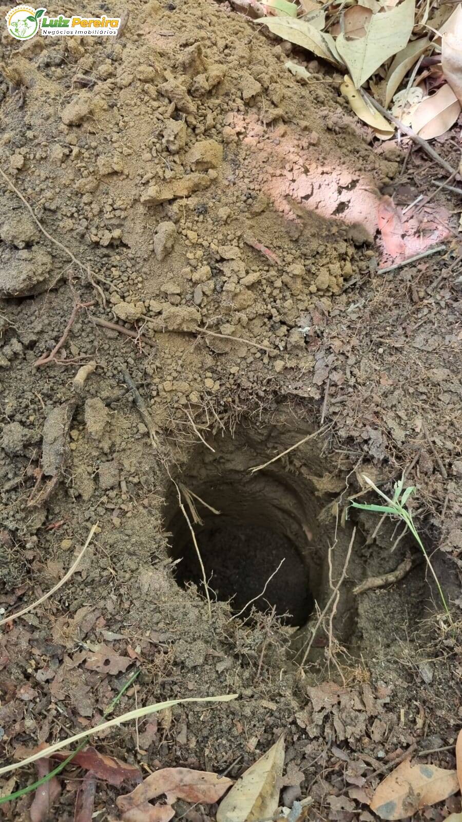 Terreno à venda, 4100m² - Foto 5