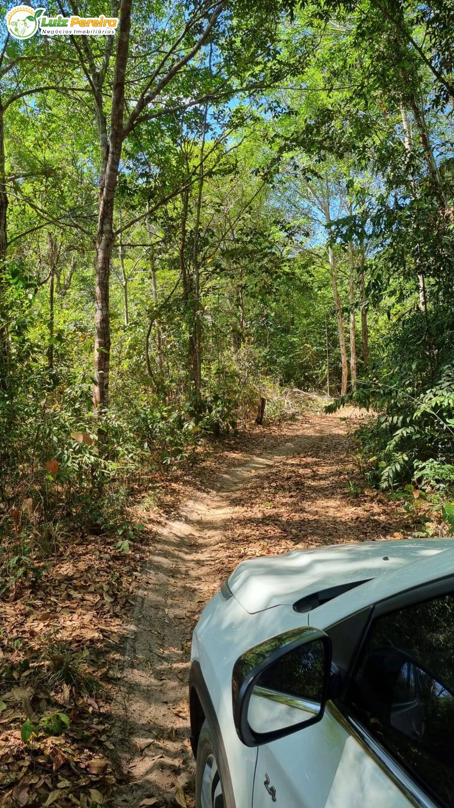 Terreno à venda, 4100m² - Foto 2