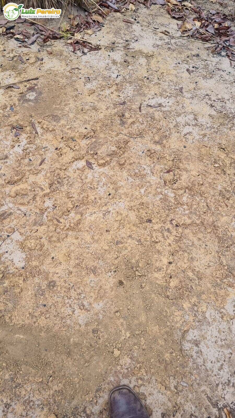 Terreno à venda, 4100m² - Foto 6