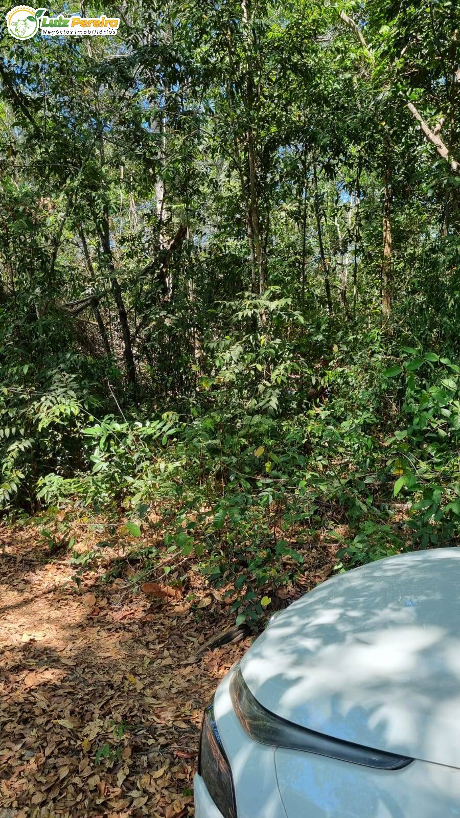 Terreno à venda, 4100m² - Foto 3