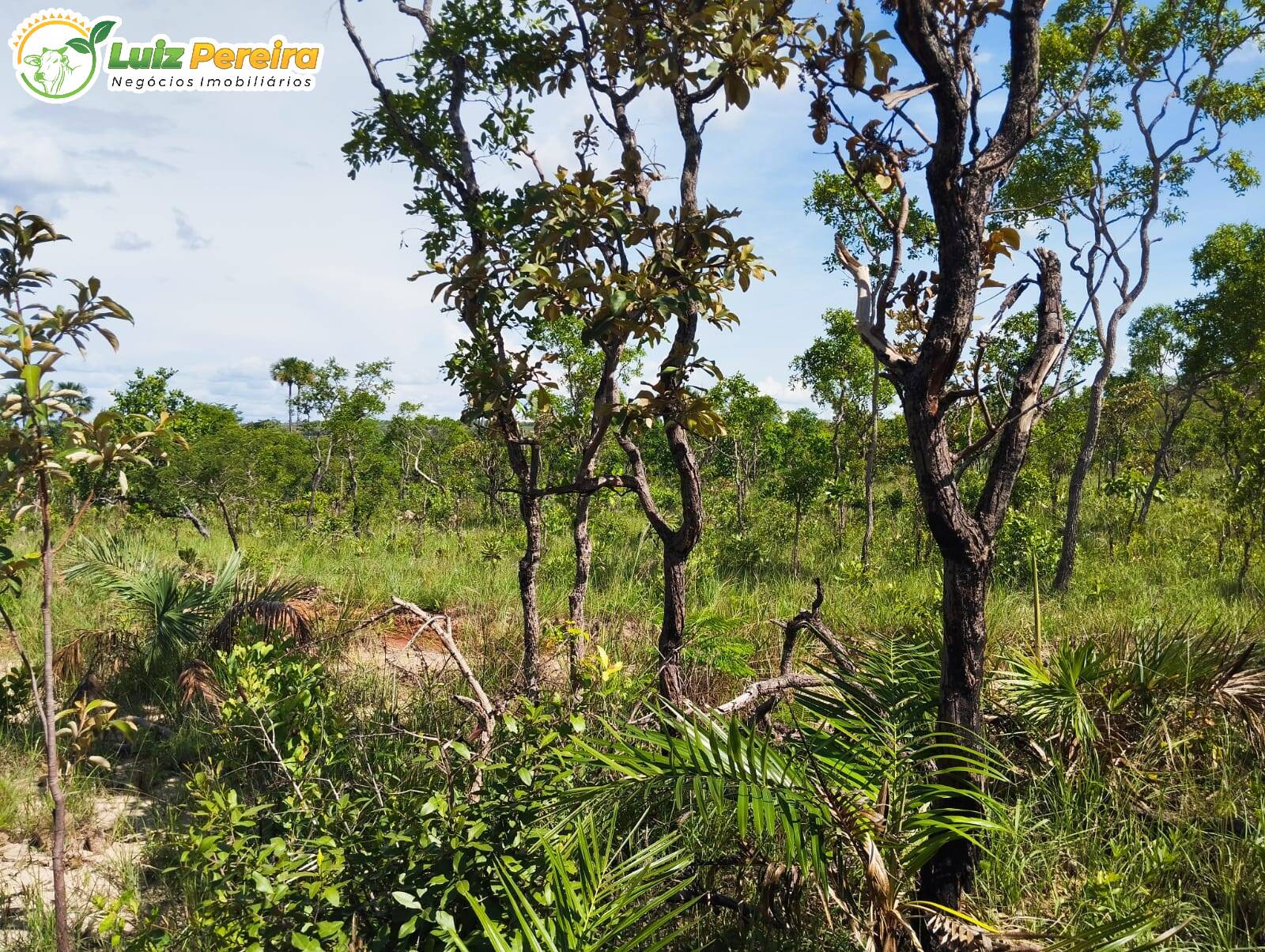 Terreno, 527 m² - Foto 5