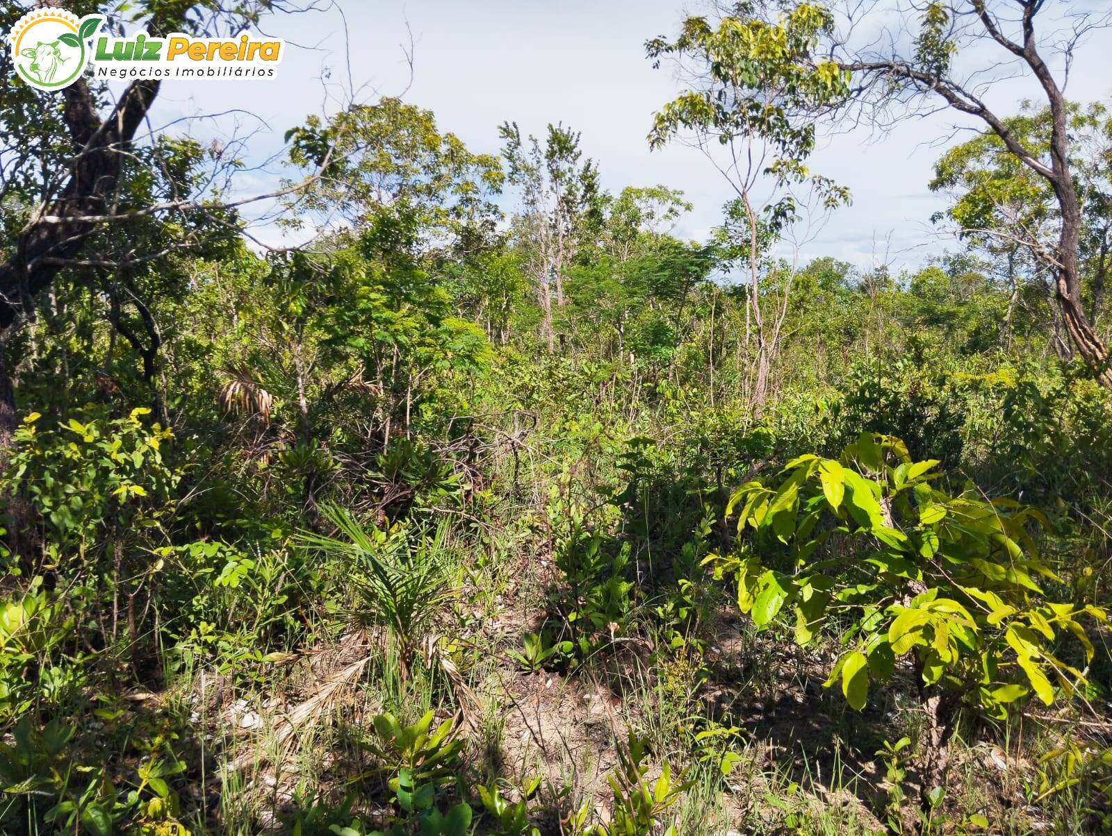 Terreno, 527 m² - Foto 1