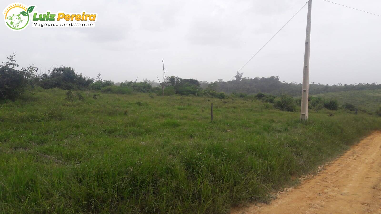 Terreno à venda, 1742m² - Foto 11