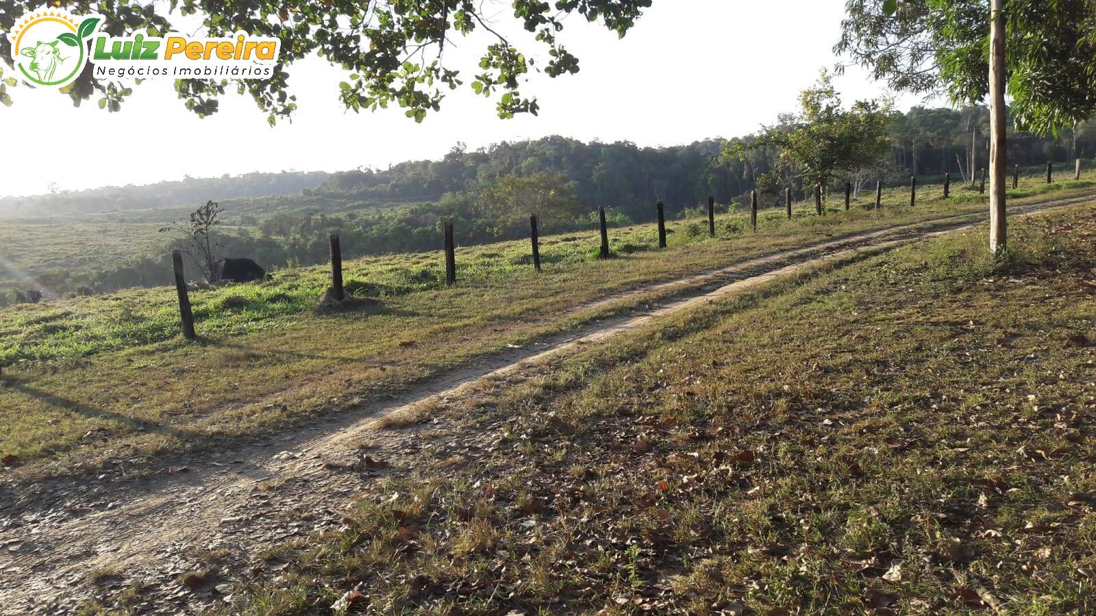 Terreno à venda, 1742m² - Foto 13