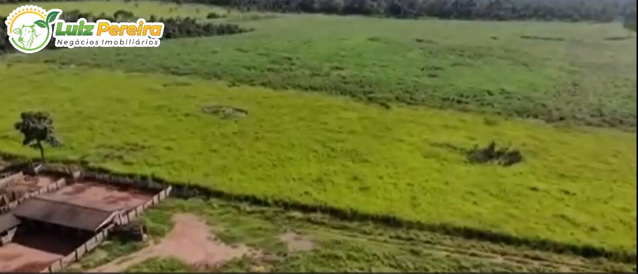 Terreno à venda, 1300m² - Foto 5