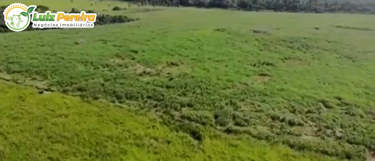 Terreno à venda, 1300m² - Foto 6