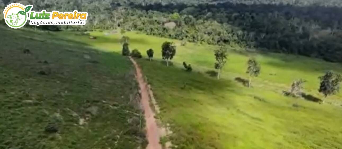 Terreno à venda, 1300m² - Foto 8