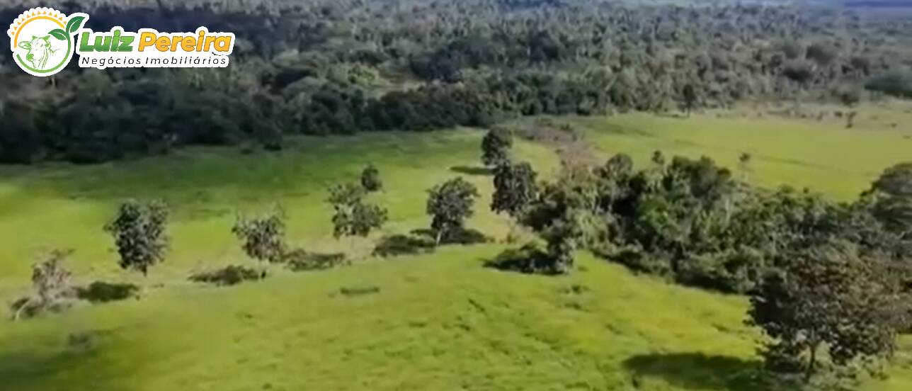 Terreno à venda, 1300m² - Foto 9