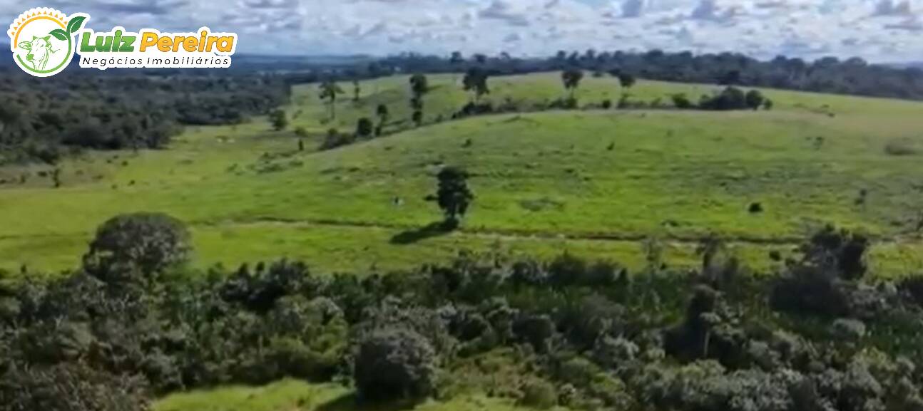 Terreno à venda, 1300m² - Foto 10