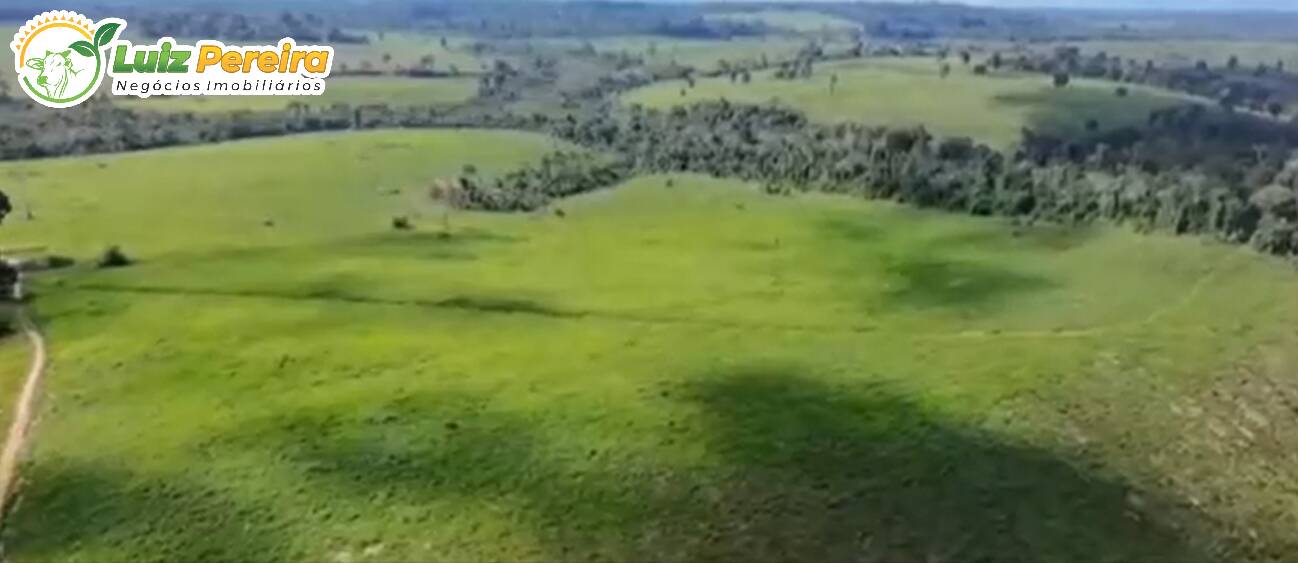 Terreno à venda, 1300m² - Foto 11