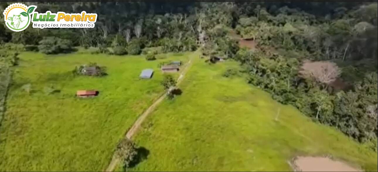 Terreno à venda, 1300m² - Foto 12