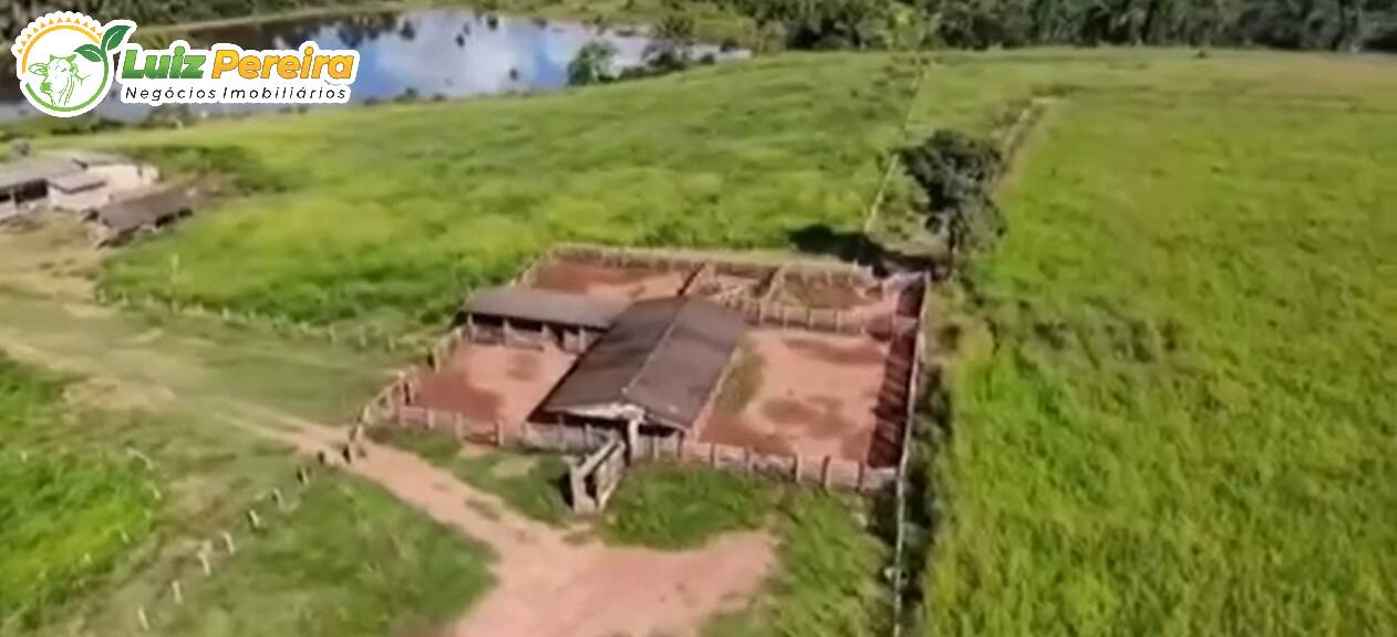 Terreno à venda, 1300m² - Foto 13
