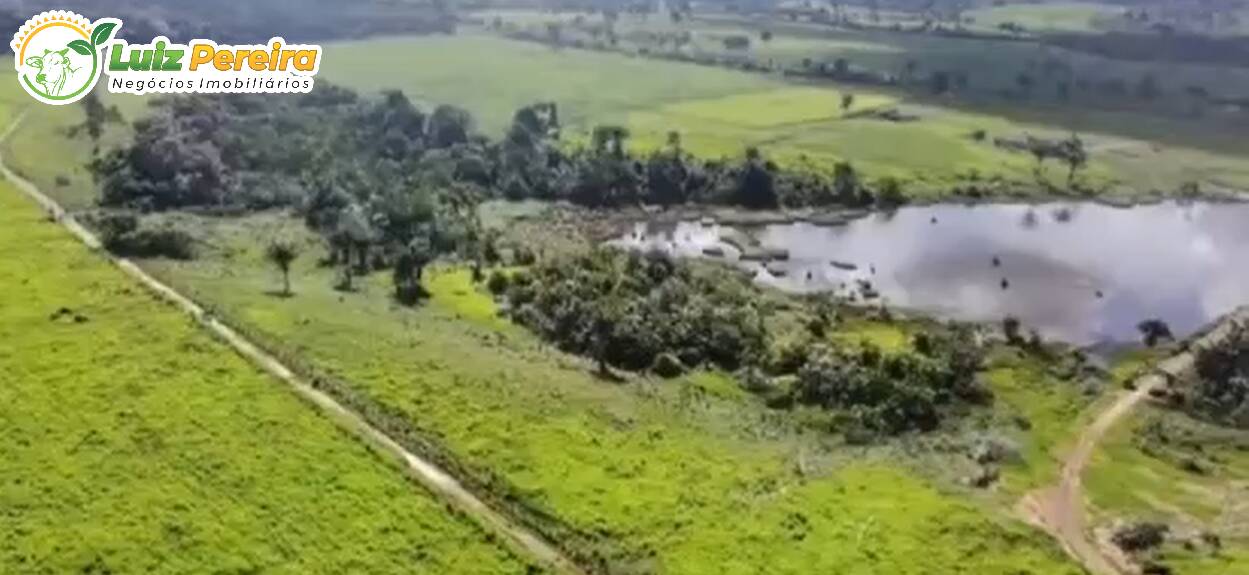 Terreno à venda, 1300m² - Foto 2