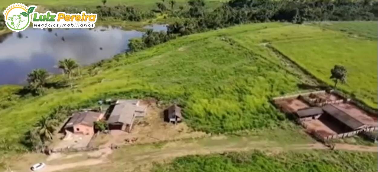 Terreno à venda, 1300m² - Foto 3
