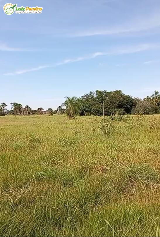 Terreno à venda, 159m² - Foto 1