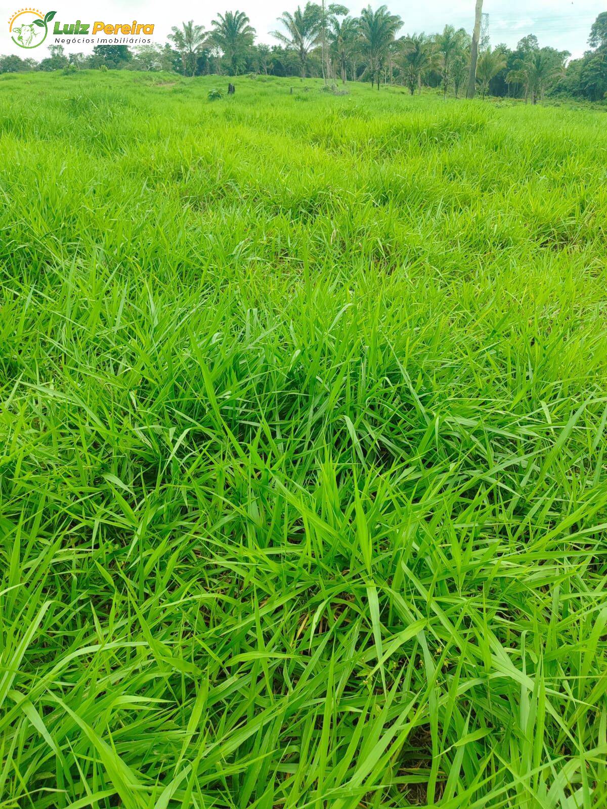 Terreno, 193 m² - Foto 12