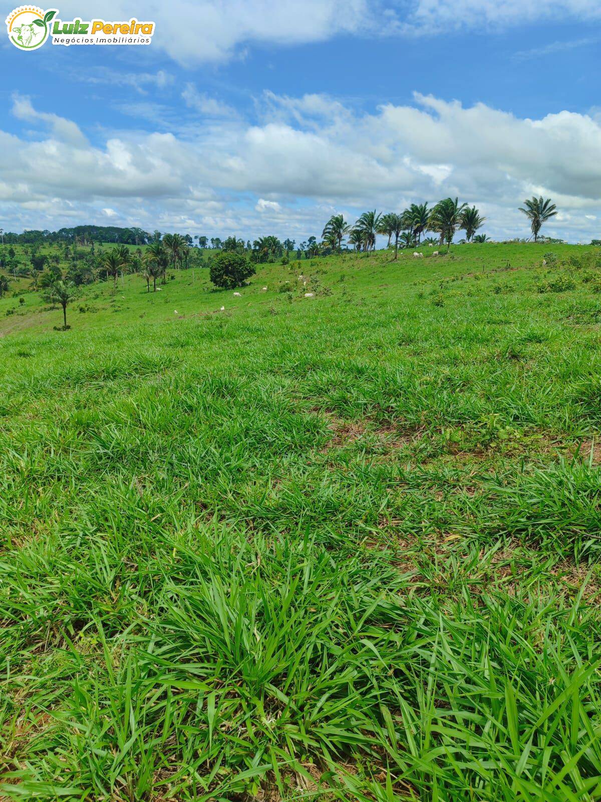 Terreno, 193 m² - Foto 15