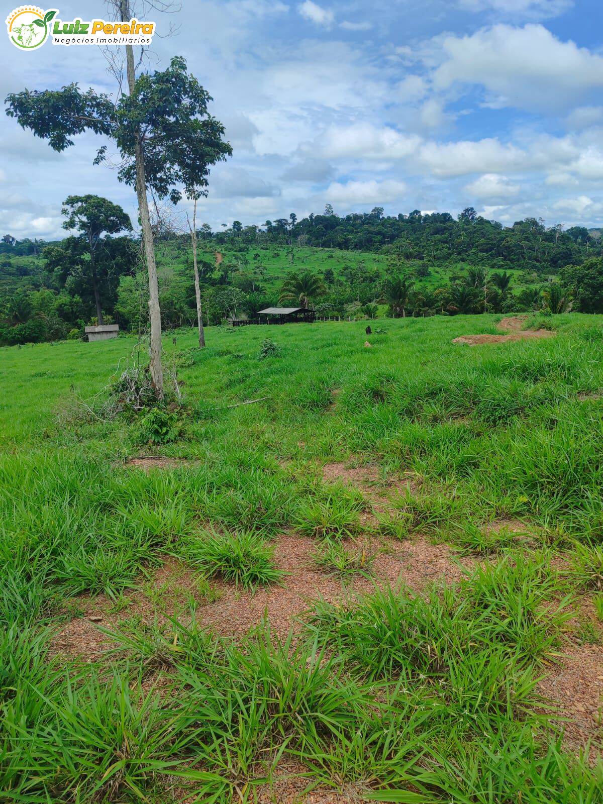 Terreno, 193 m² - Foto 18