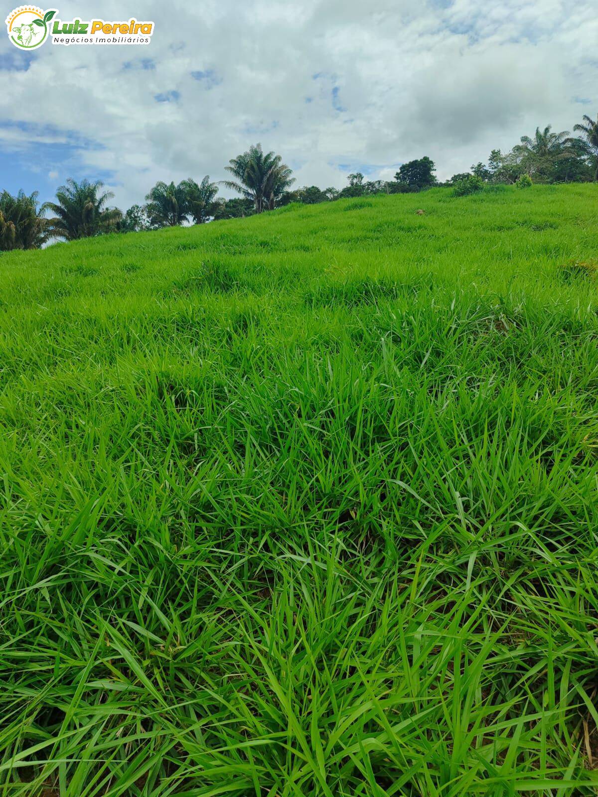 Terreno, 193 m² - Foto 11