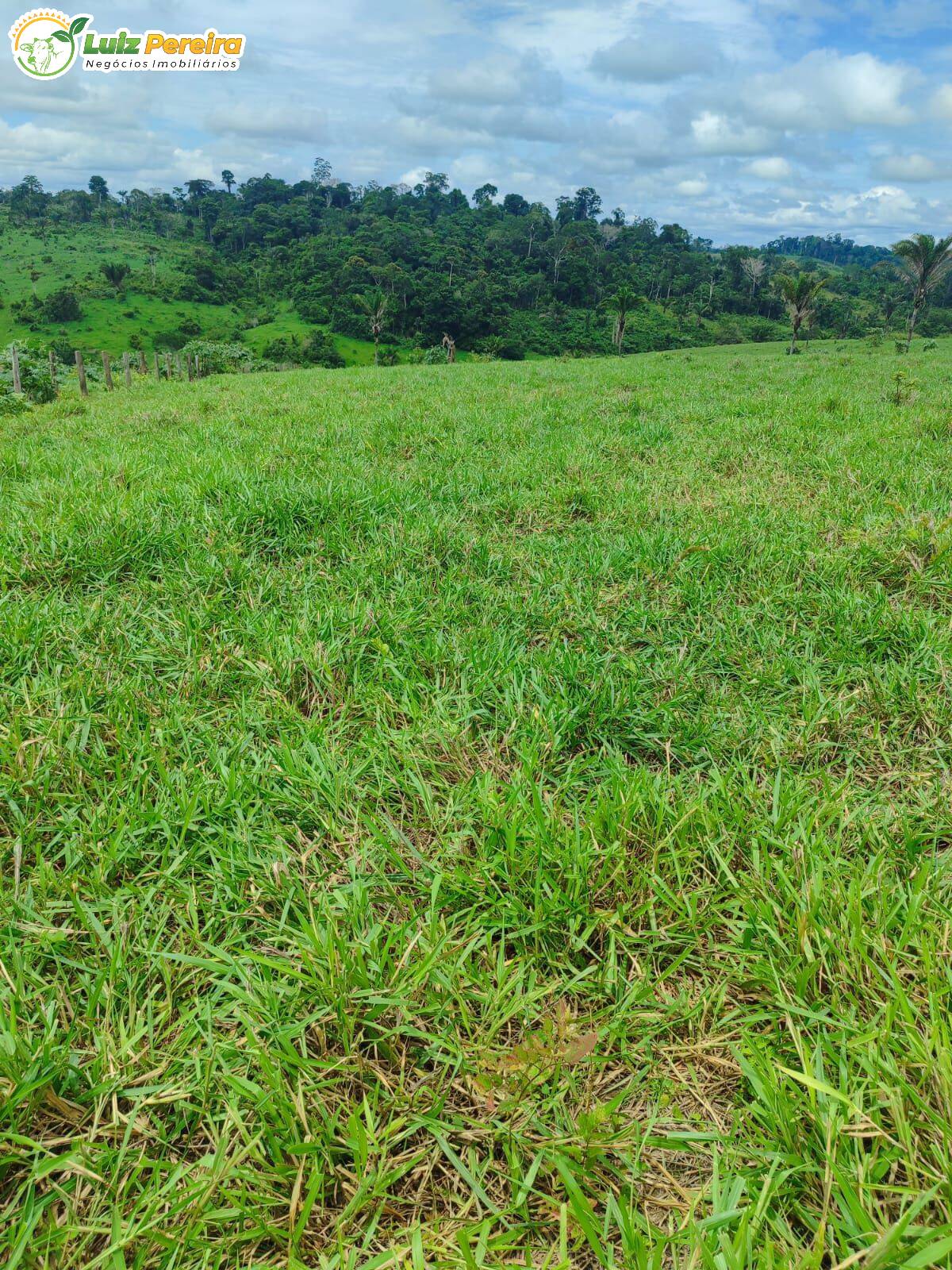 Terreno, 193 m² - Foto 13