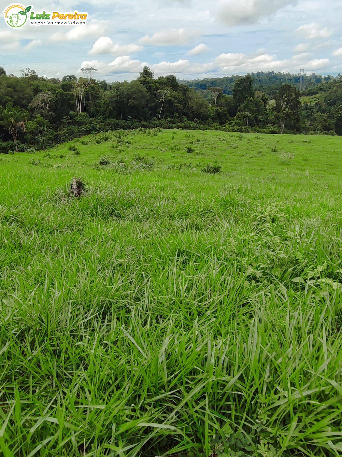 Terreno, 193 m² - Foto 14