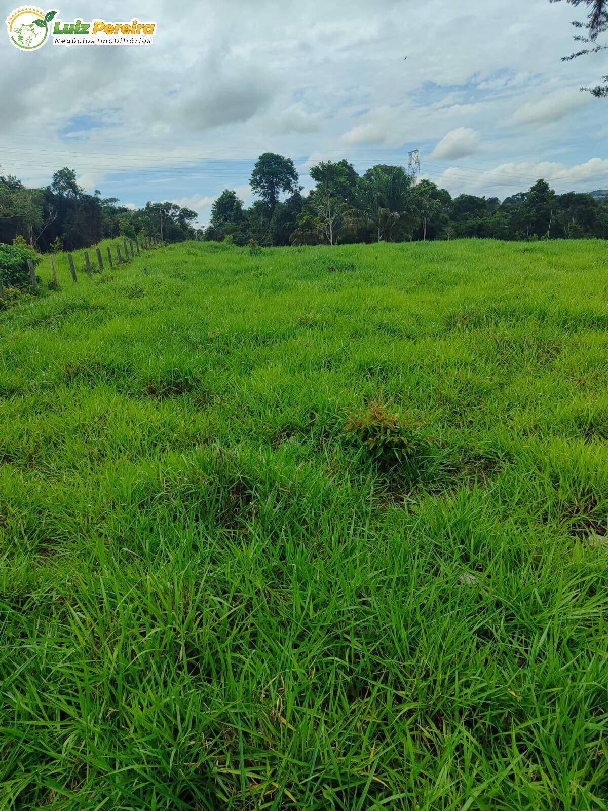 Terreno, 193 m² - Foto 10