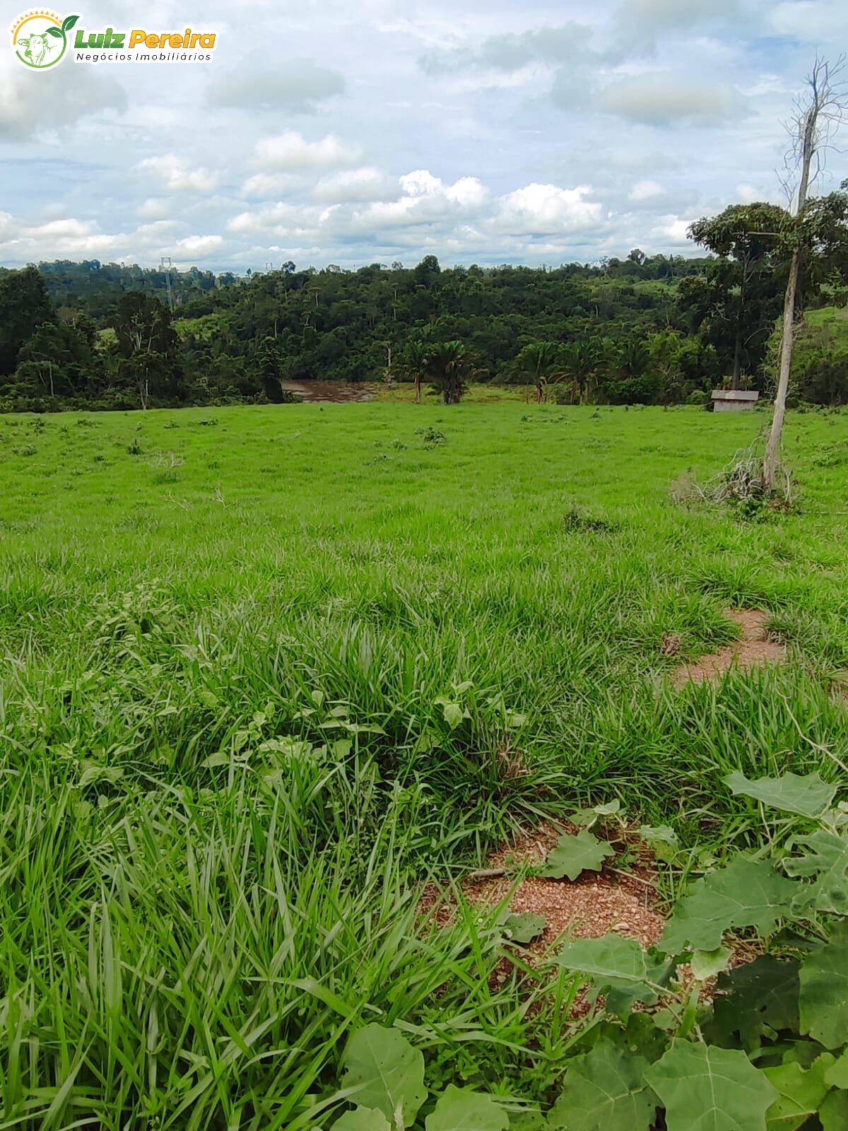 Terreno, 193 m² - Foto 16