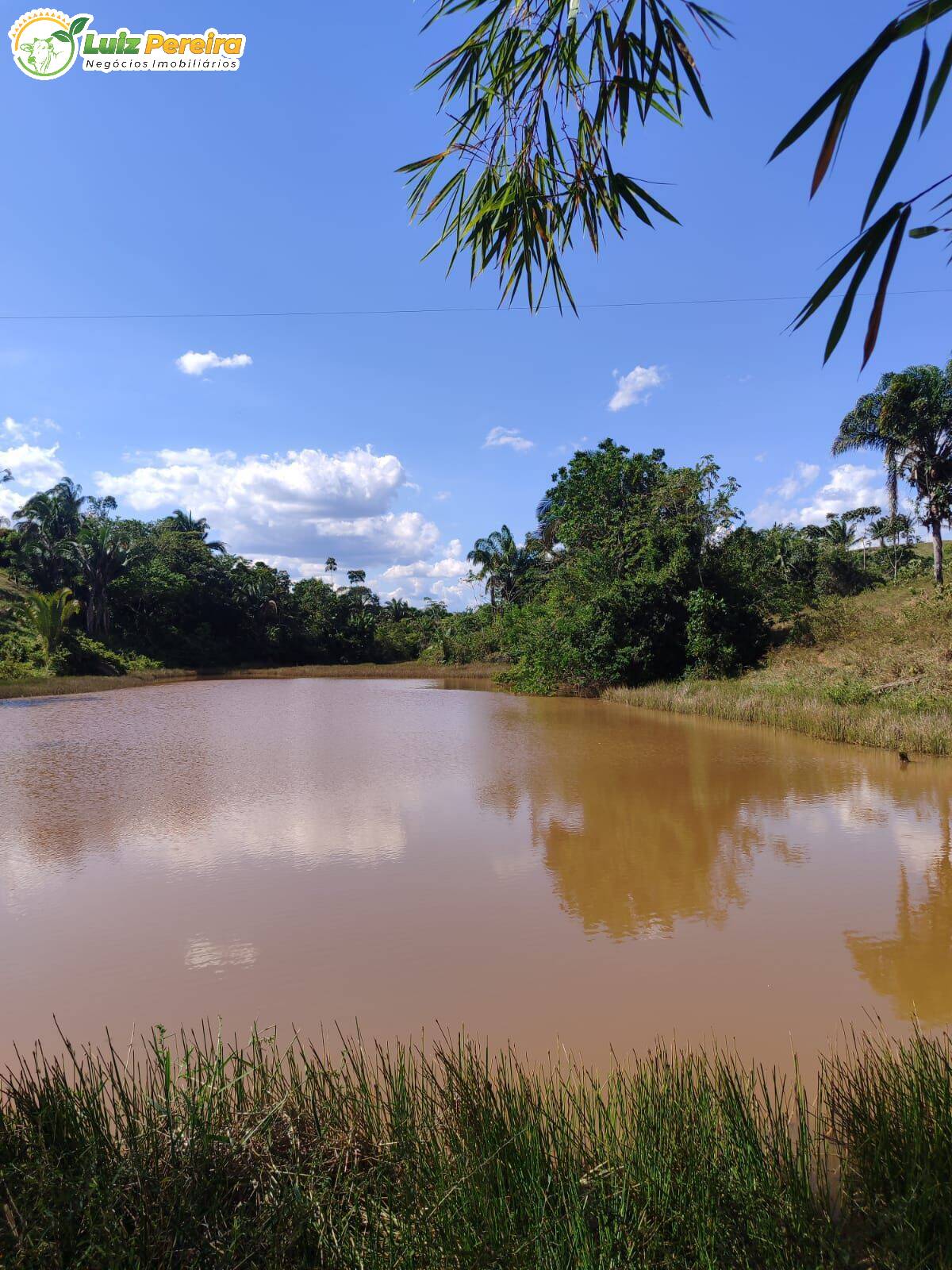 Terreno, 193 m² - Foto 19