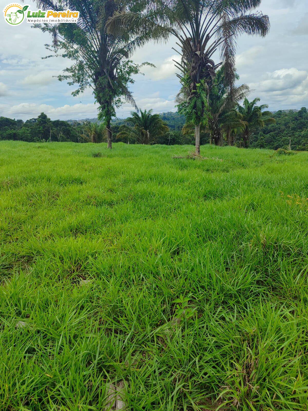 Terreno, 193 m² - Foto 20