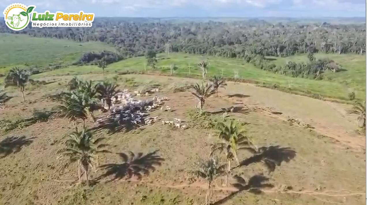 Terreno, 193 m² - Foto 9