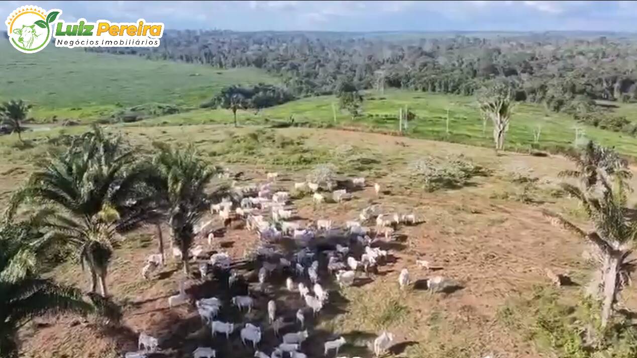 Terreno, 193 m² - Foto 1