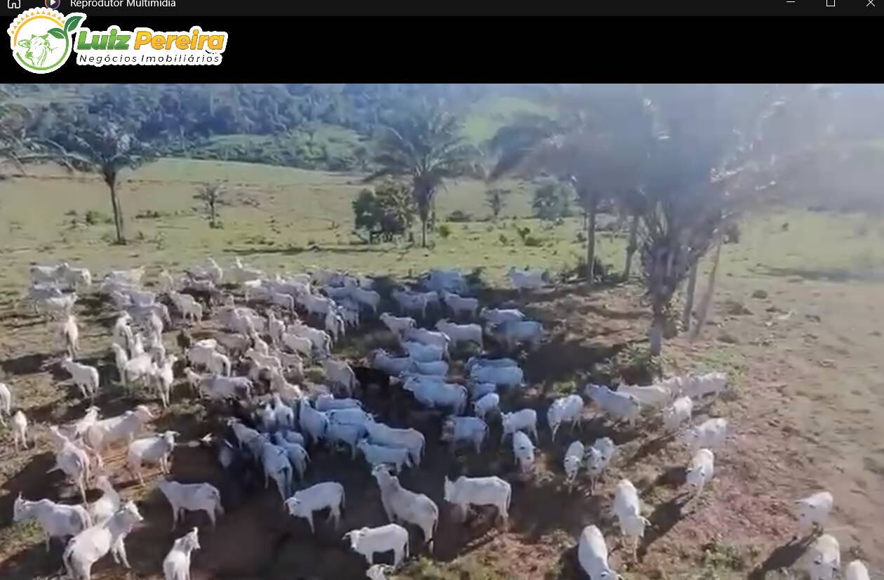 Terreno, 193 m² - Foto 8