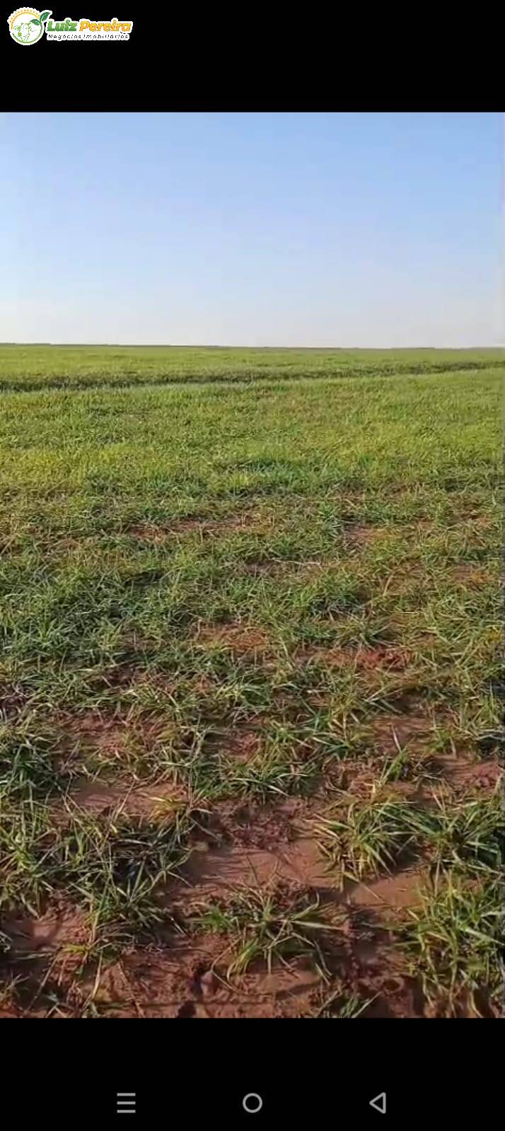 Terreno, 133 m² - Foto 1