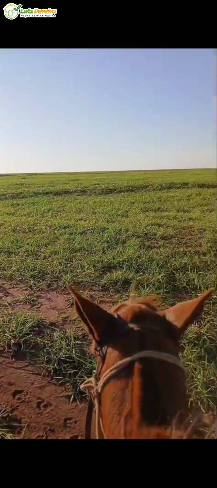 Terreno, 133 m² - Foto 2