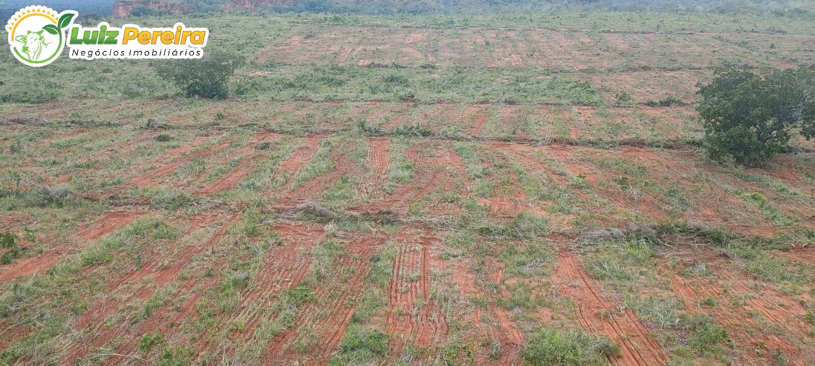 Terreno, 832 m² - Foto 4