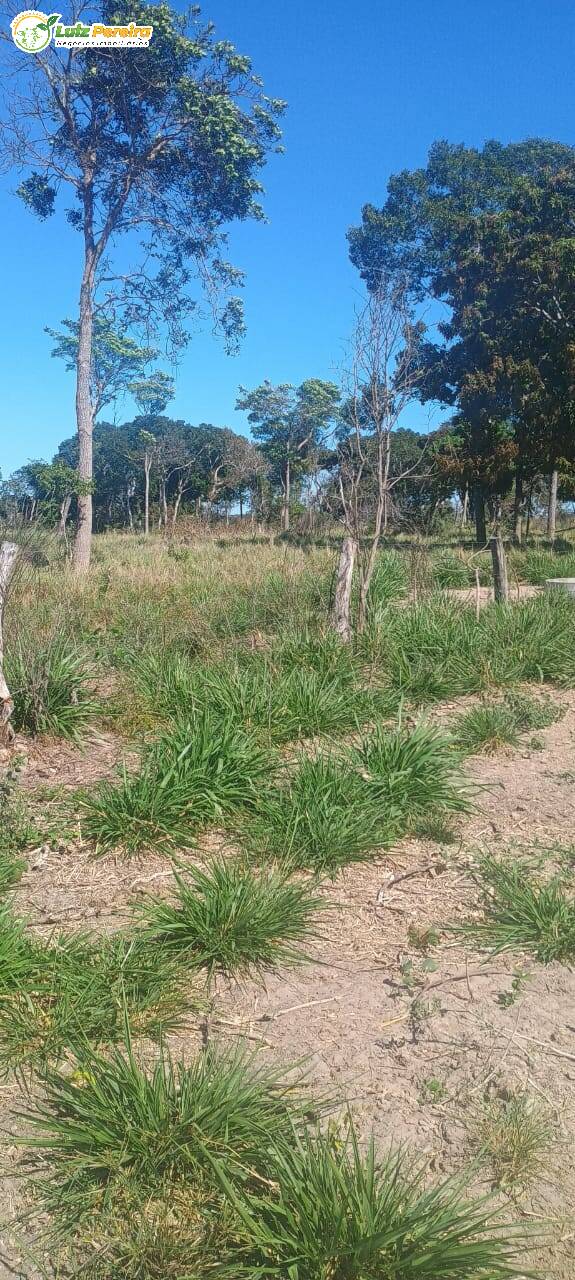 Terreno à venda, 677m² - Foto 7