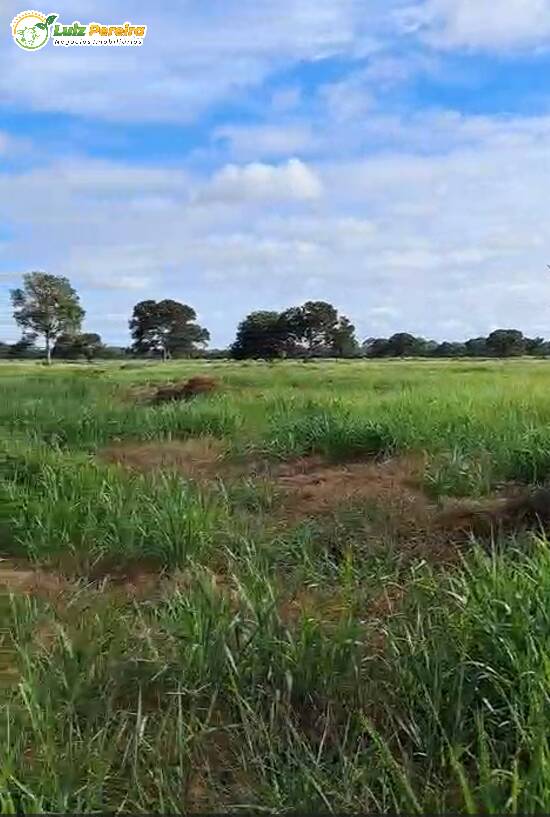 Terreno, 2100 m² - Foto 6