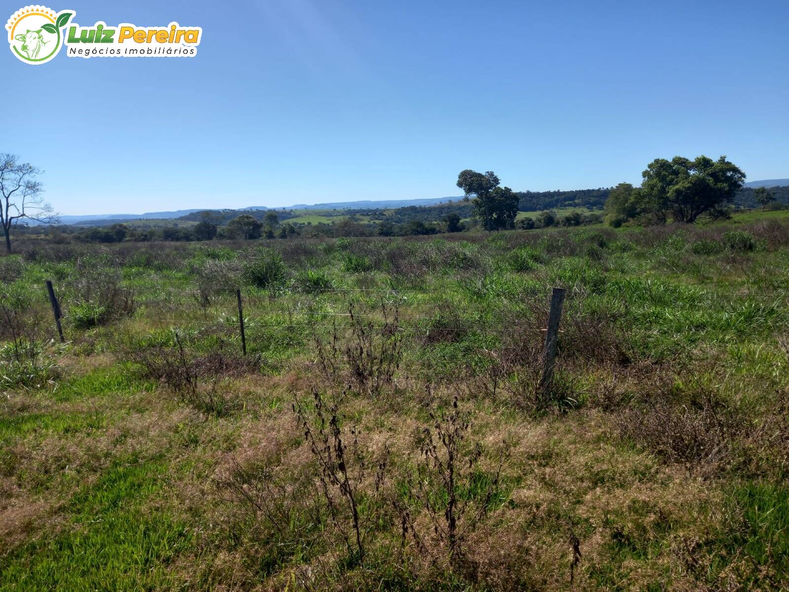 Terreno à venda, 300m² - Foto 4