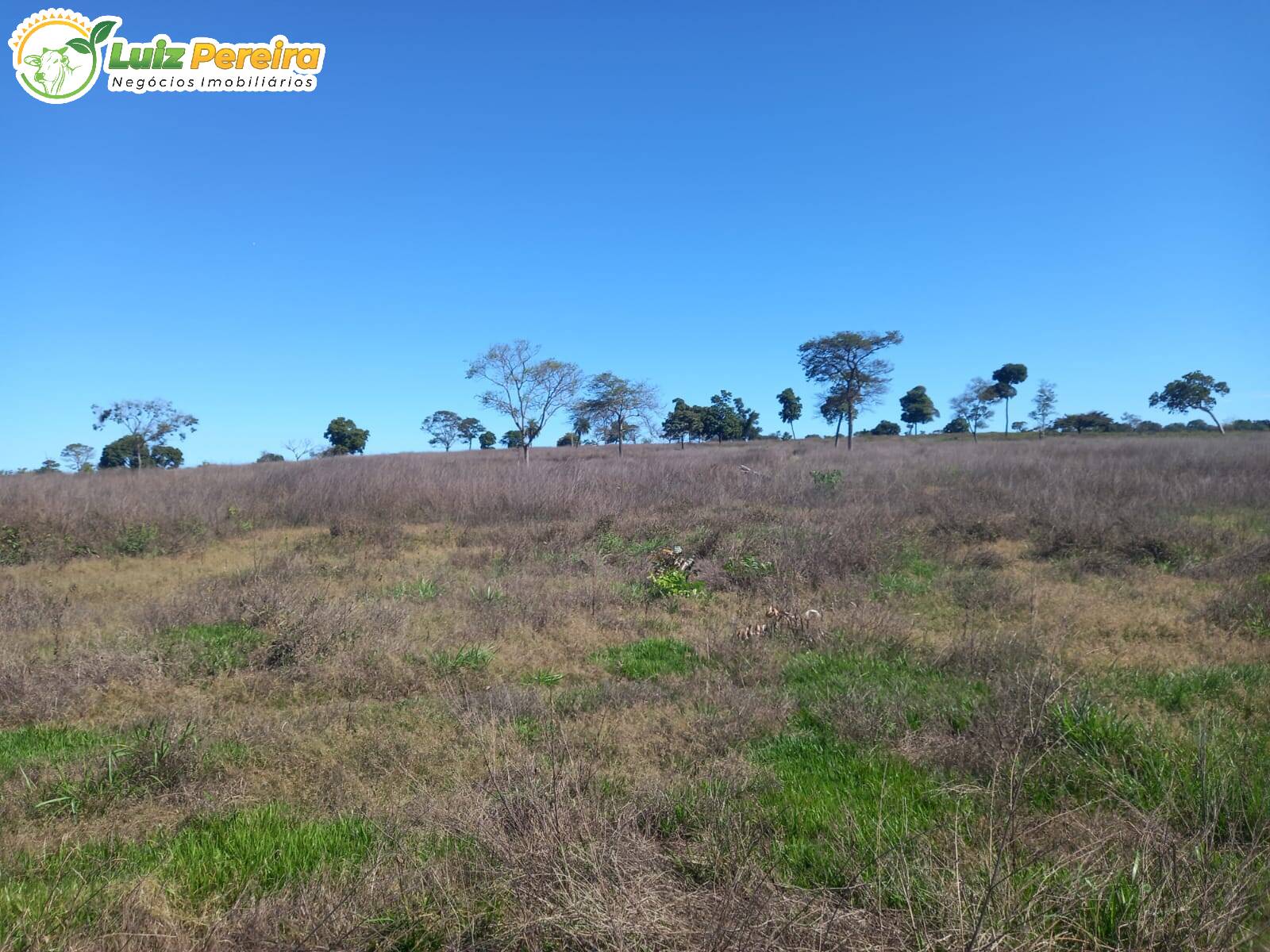 Terreno à venda, 300m² - Foto 6