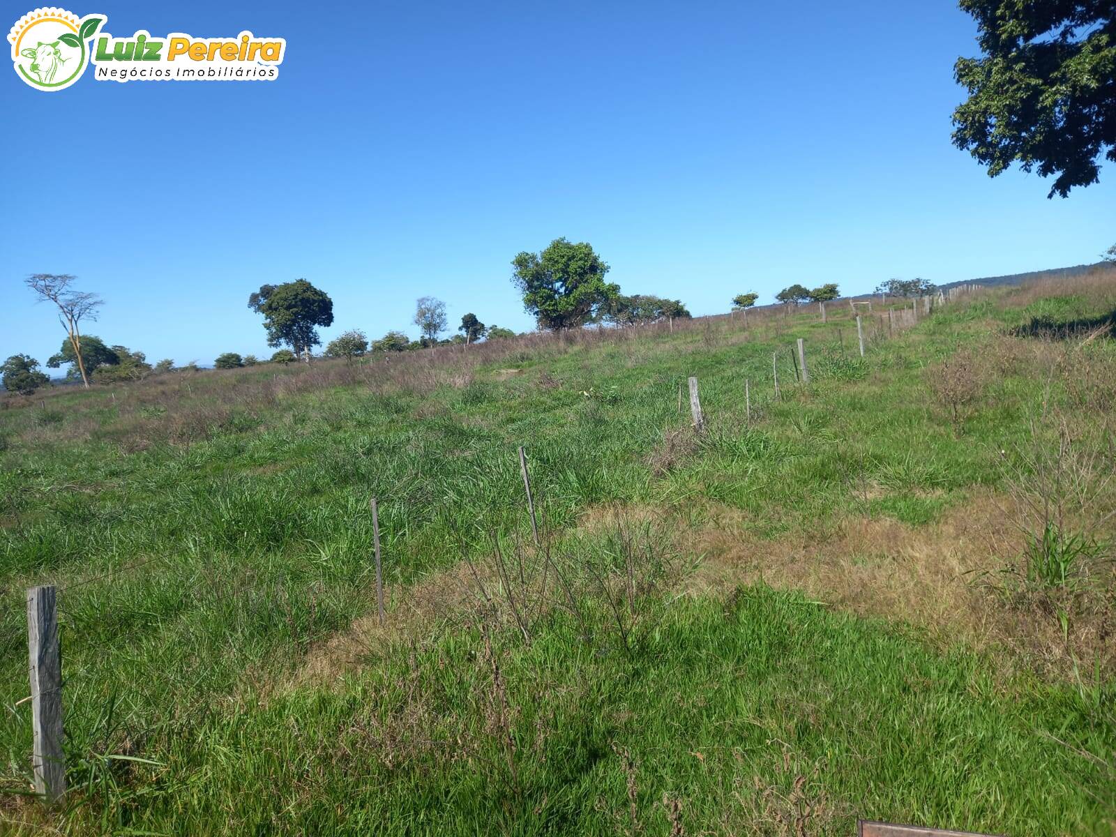 Terreno à venda, 300m² - Foto 1